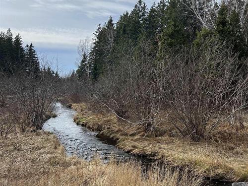 Old Mulgrave Road, Monastery, NS 