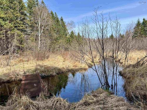 Old Mulgrave Road, Monastery, NS 