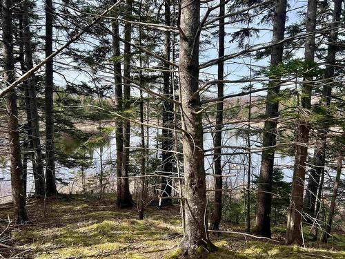 Old Mulgrave Road, Monastery, NS 