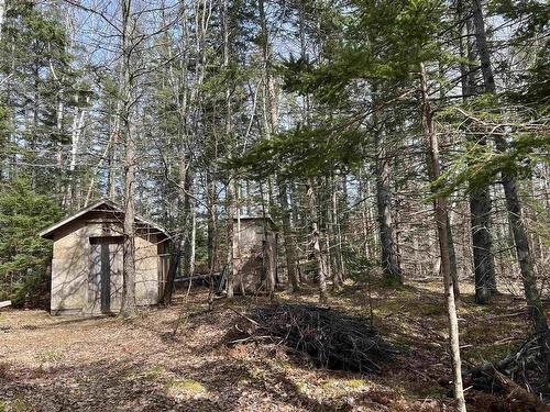 Old Mulgrave Road, Monastery, NS 