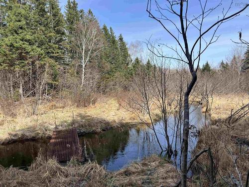 Old Mulgrave Road, Monastery, NS 
