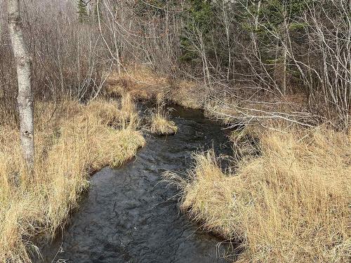 Old Mulgrave Road, Monastery, NS 