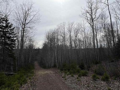 Old Mulgrave Road, Monastery, NS 