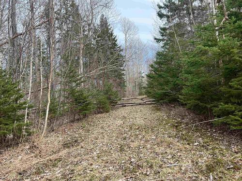 Old Mulgrave Road, Monastery, NS 