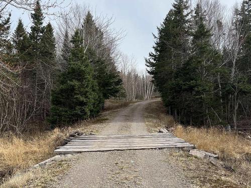 Old Mulgrave Road, Monastery, NS 