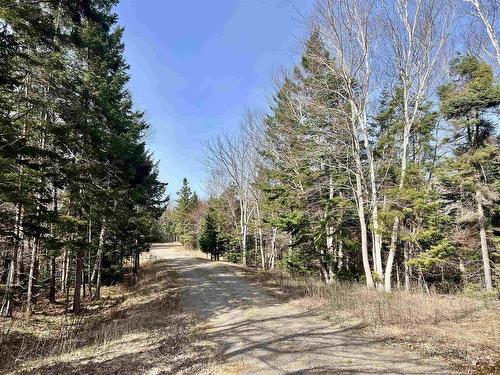 Old Mulgrave Road, Monastery, NS 