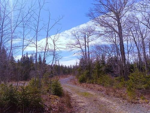 13 Johnny Cash Lane, Juniper Mountain, NS 