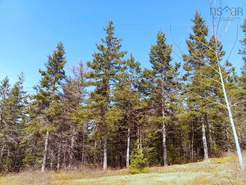 13 Johnny Cash Lane, Juniper Mountain, NS 