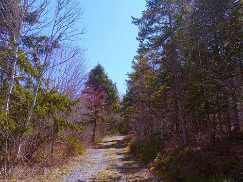 13 Johnny Cash Lane, Juniper Mountain, NS 