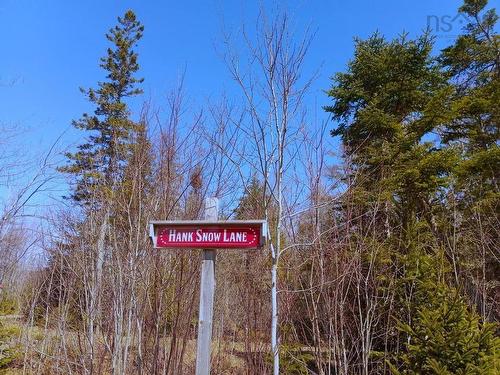 13 Johnny Cash Lane, Juniper Mountain, NS 