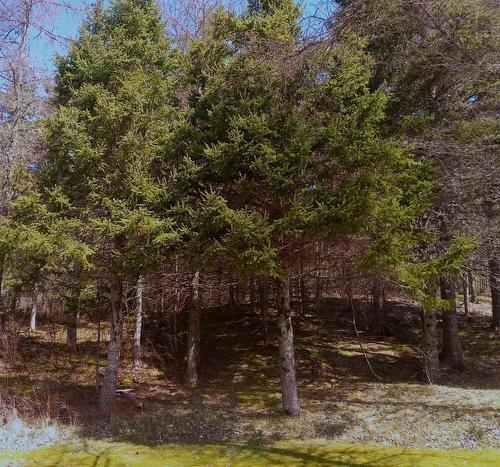 13 Johnny Cash Lane, Juniper Mountain, NS 