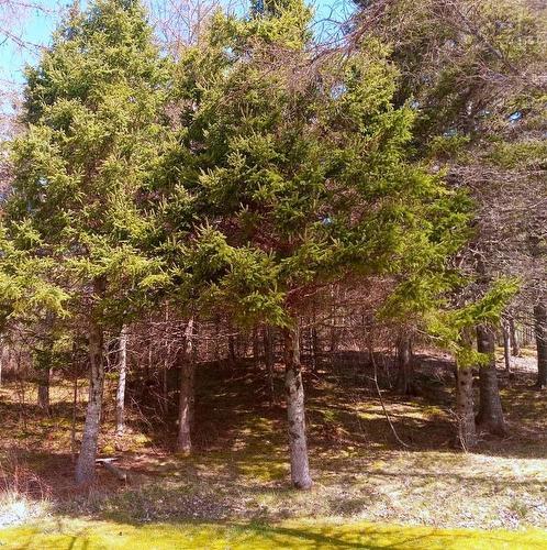 13 Johnny Cash Lane, Juniper Mountain, NS 