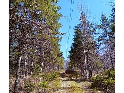 13 Johnny Cash Lane, Juniper Mountain, NS 