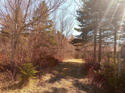 13 Johnny Cash Lane, Juniper Mountain, NS 