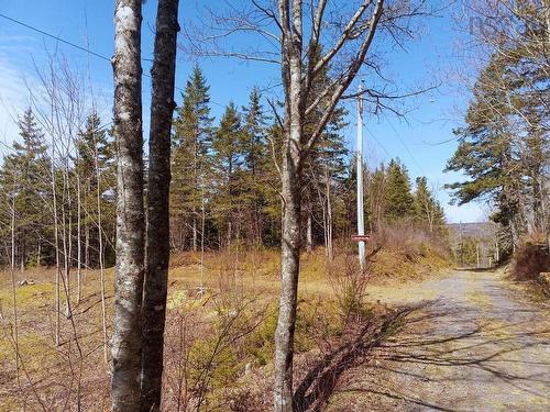 13 Johnny Cash Lane, Juniper Mountain, NS 