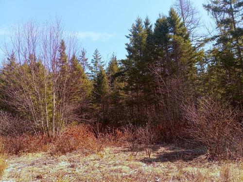 13 Johnny Cash Lane, Juniper Mountain, NS 