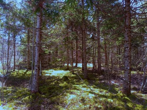 17 Tom Sawyer Lane, Juniper Mountain, NS 