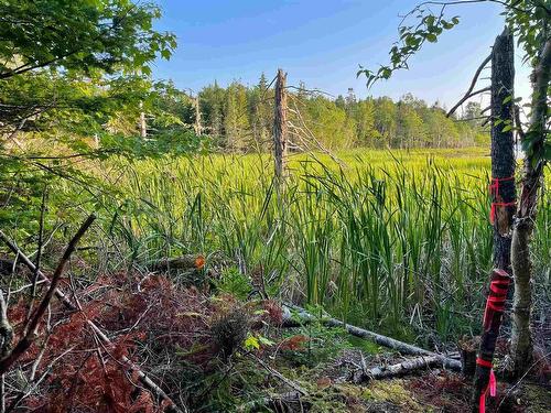 Lot 9 White Birch Landing, Islandview, NS 