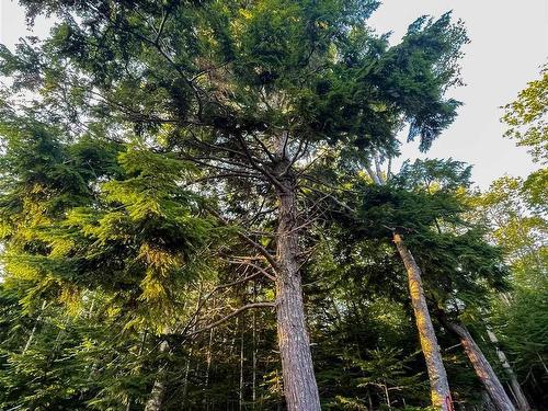 Lot 10 White Birch Landing, Islandview, NS 