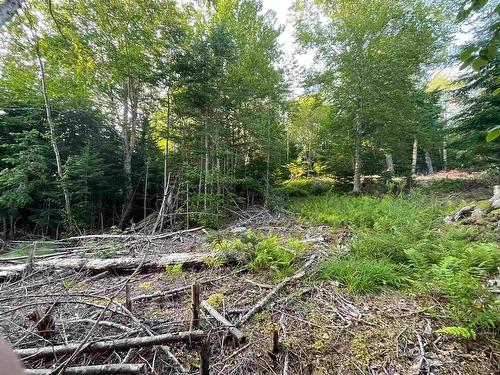 Lot 10 White Birch Landing, Islandview, NS 