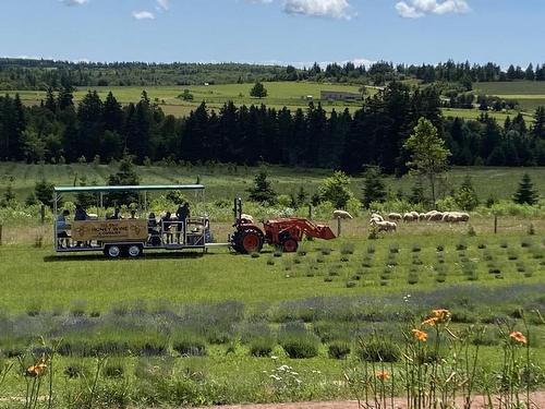 820 Millboro Road, Wheatley River, PE 