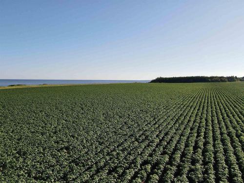 Lot 06-2 Route 14, Campbellton, PE 