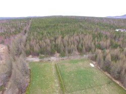 Aerial View - 
