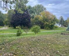 87 Scott Ave Backyard - 