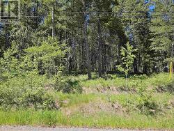 277 WOODLAND DRIVE  Williams Lake, BC V2G 4P9