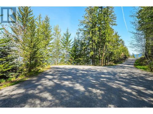 271 Kootenay Lake Road, Procter, BC 