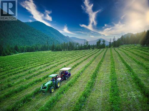 1238 Creighton Valley Road, Lumby, BC 