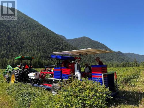 1238 Creighton Valley Road, Lumby, BC 