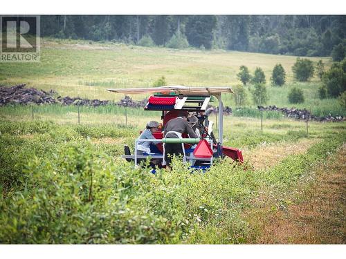 1238 Creighton Valley Road, Lumby, BC 