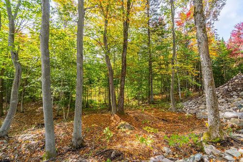 Land/Lot - Ch. Du Mitik, Mont-Tremblant, QC 