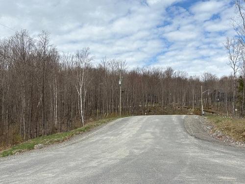 Street - Ch. Du Mitik, Mont-Tremblant, QC 