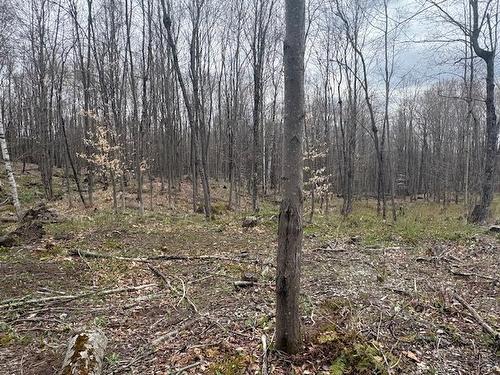 Land/Lot - Ch. Du Mitik, Mont-Tremblant, QC 