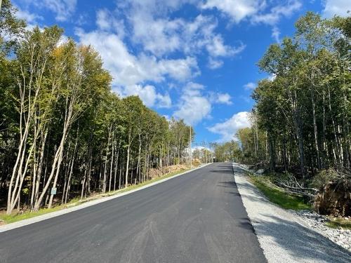 Street - Ch. Du Mitik, Mont-Tremblant, QC 
