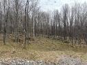 Land/Lot - Ch. Du Mitik, Mont-Tremblant, QC 