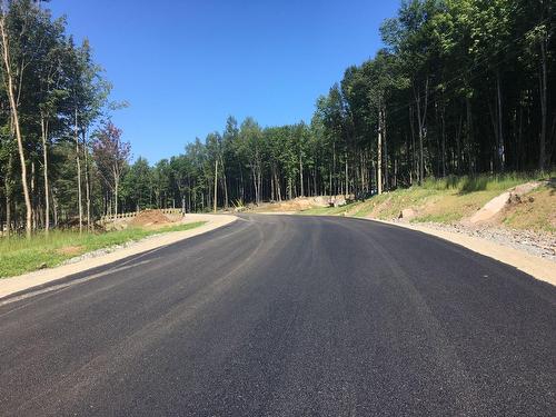 Street - Ch. Du Mitik, Mont-Tremblant, QC 