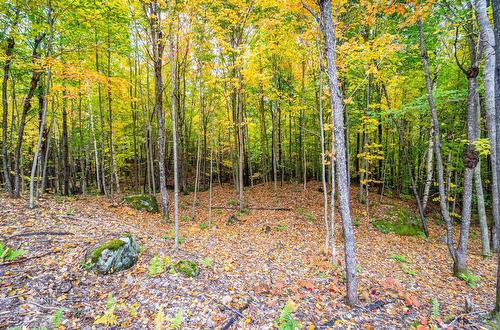 Land/Lot - Ch. Du Mitik, Mont-Tremblant, QC 