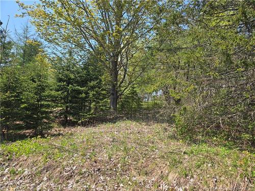 329 Clements Dr, Fredericton, NB 