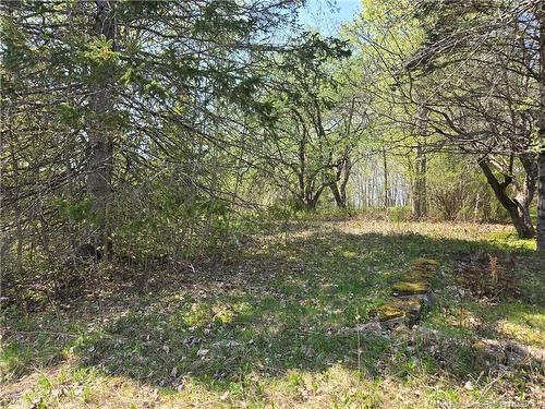 329 Clements Dr, Fredericton, NB 