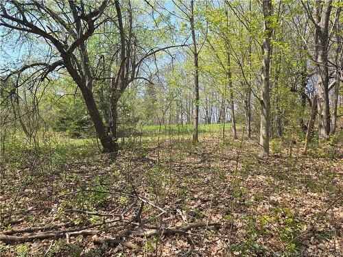 329 Clements Dr, Fredericton, NB 