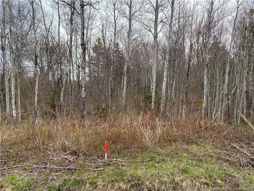 Lot Route 134, Saint-Pierre-De-Kent, NB 