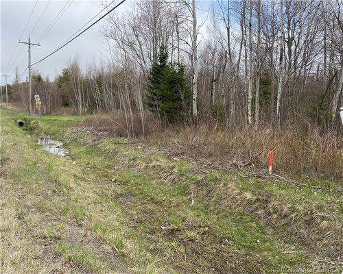 Lot Route 134, Saint-Pierre-De-Kent, NB 