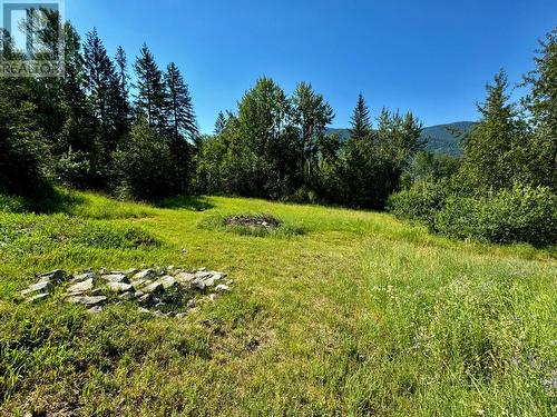 395 Boven Road, Nelson, BC - Outdoor