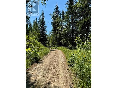 395 Boven Road, Nelson, BC - Outdoor With View