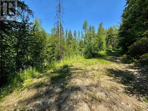 395 Boven Road, Nelson, BC - Outdoor With View