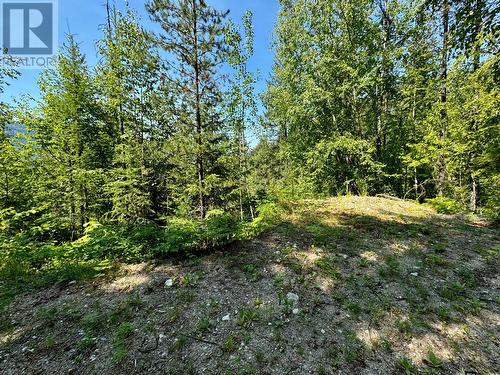 395 Boven Road, Nelson, BC - Outdoor