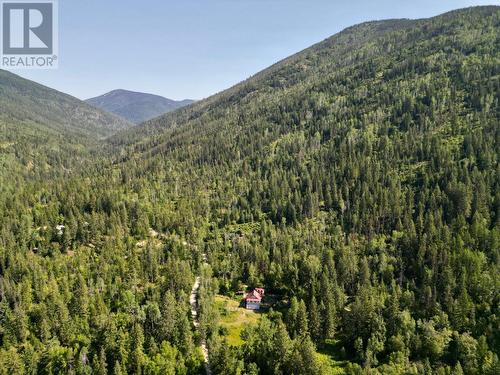 395 Boven Road, Nelson, BC - Outdoor With View